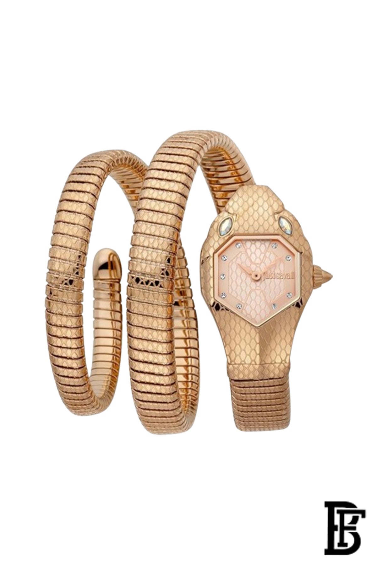 Just Cavalli Stainless Steel Analog Women's Watch JC1L168M0055 image 1