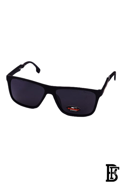 Generic Men Sunglasses Inspired By Carrera sn736 image 0