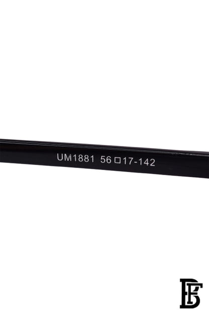Men Sunglasses inspired by david beckham sn1165 image 5