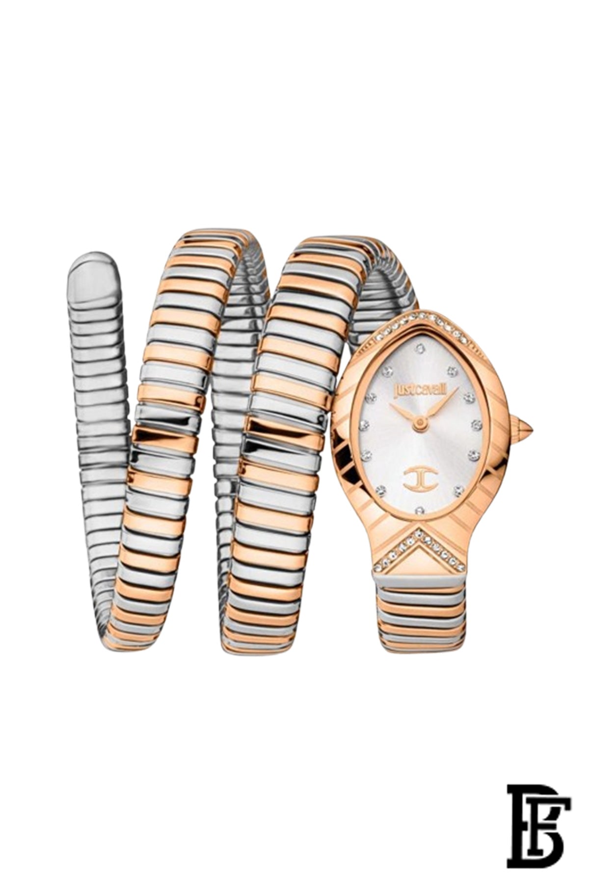 Just Cavalli Stainless Steel Analog Women's Watch JC1L248M0075 image 0