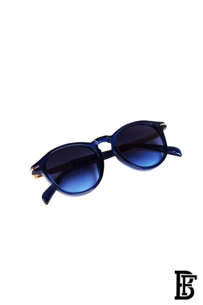 Men Sunglasses inspired by david beckham sn1164 image 3