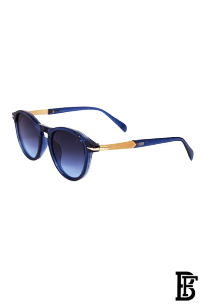Men Sunglasses inspired by david beckham sn1164 image 2