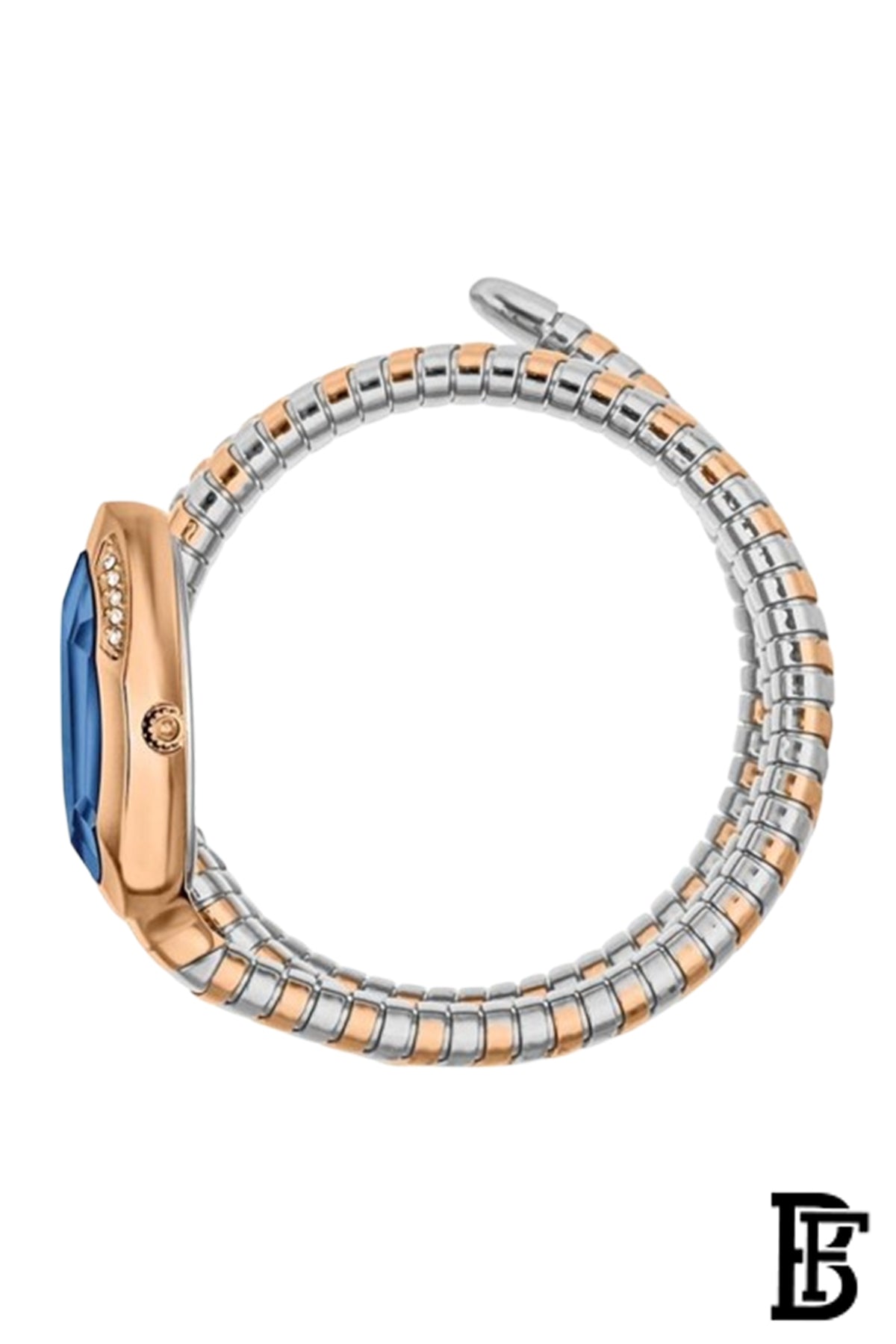Just Cavalli JC1L224M0095 Glam Evo 9 Family Watch For Women image 3