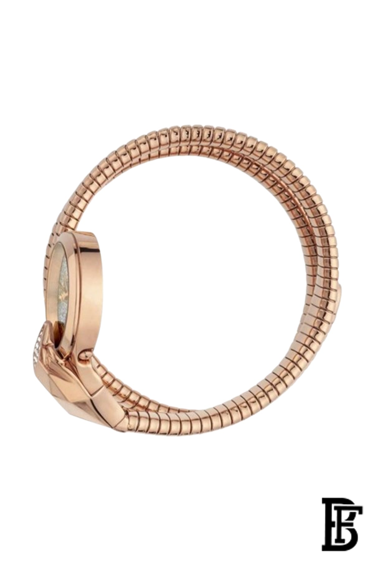 Just Cavalli Women's Glam Snake Silver Dial Watch - JC1L114M0055 image 3
