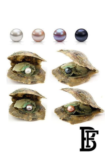 Wish Pearl in Oyster Gift Set with Pendant – NWT image 3