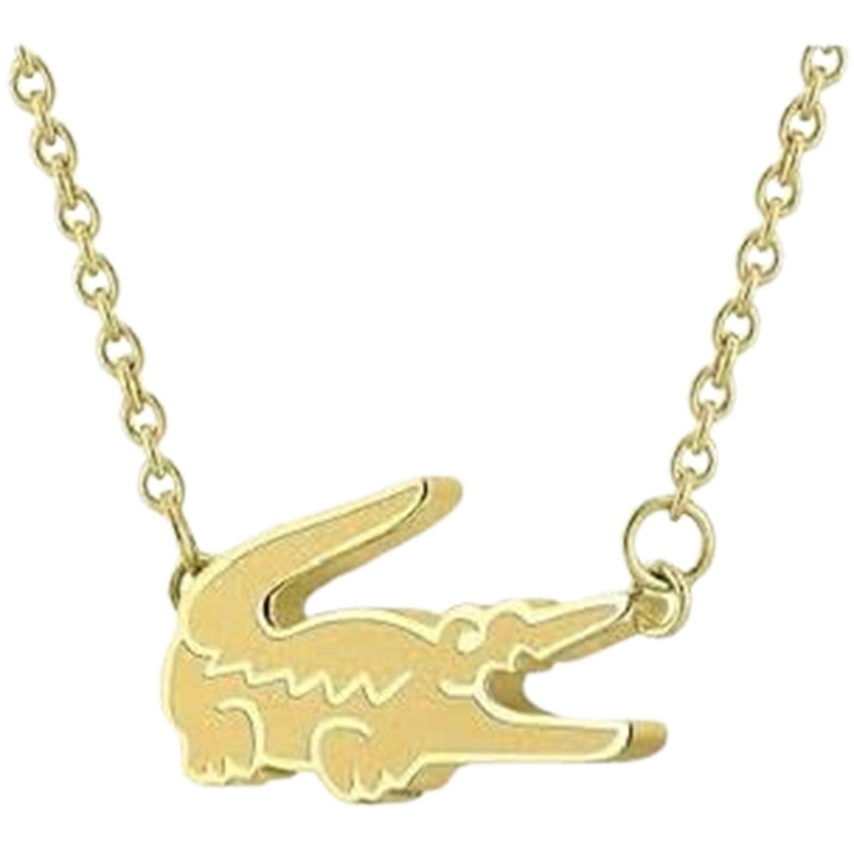 Lacoste bracelet for women-Bl013 image 2