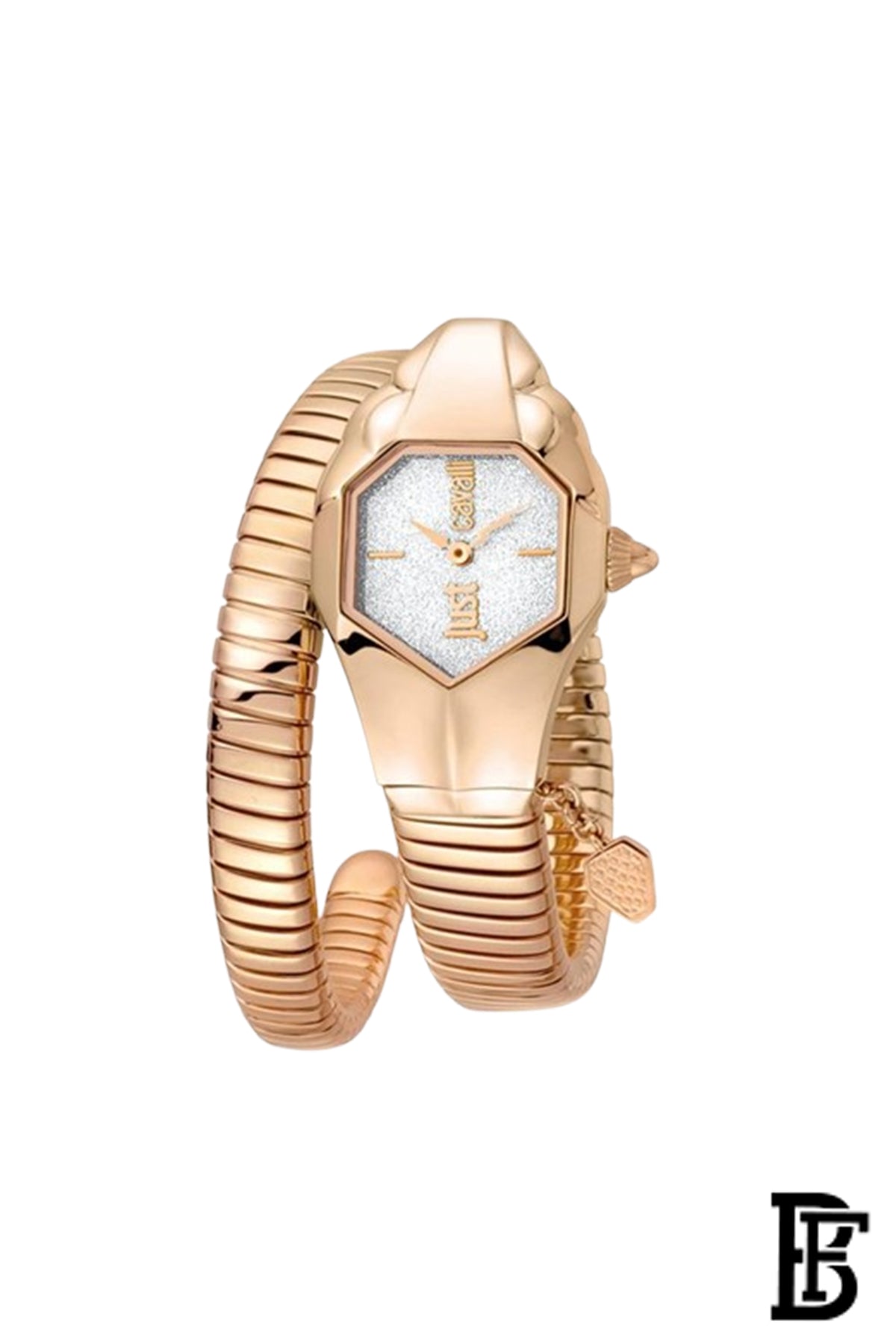 Just Cavalli Watch for Women JC1L001M0155 image 0