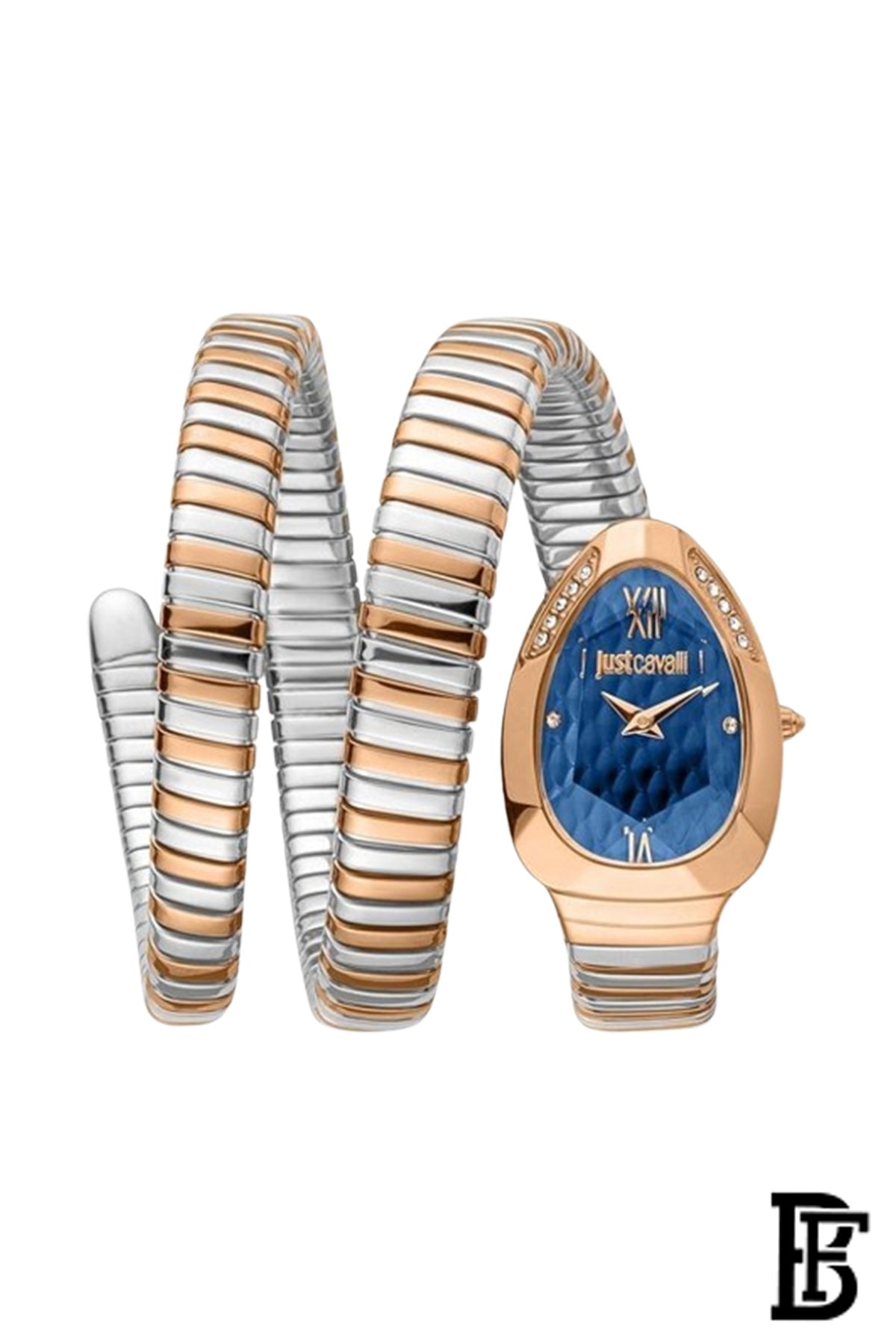 Just Cavalli JC1L224M0095 Glam Evo 9 Family Watch For Women image 1